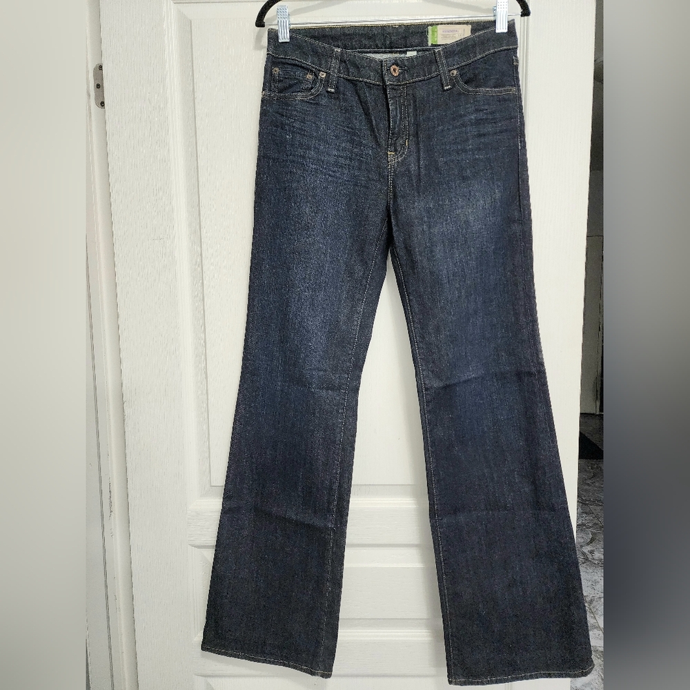 Gap Essentials Dark Indigo Women's Flare Jeans (Gently Used)
